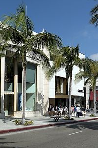 rodeo-drive-725965