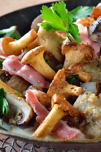 Fried Fresh Chanterelles with Dumplings
