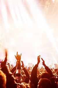 Cheering Crowd at Festival