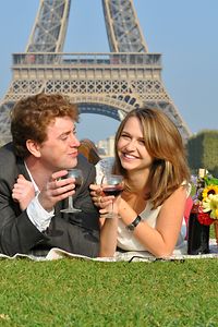 Picnic in Front of the Eiffel Tower