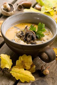 Velouté de champignons