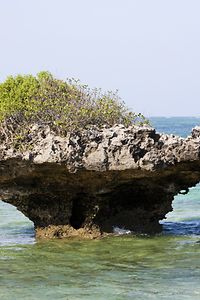 Coral Reef Rock at Chale Island