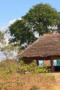 A hut in a village near Mombasa