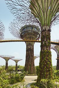 Gardens by the Bay