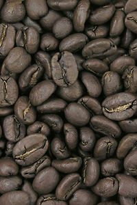 425 Degrees City Roast Coffee