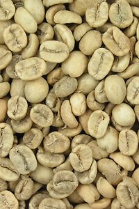 330 Degrees Drying Coffee